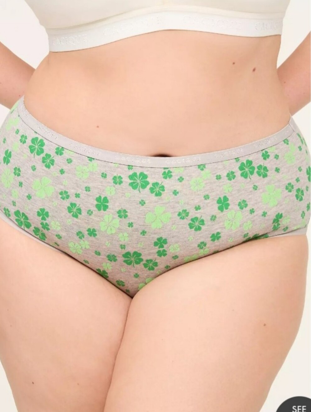 Cacique 18/20 Cotton High Leg Panty
